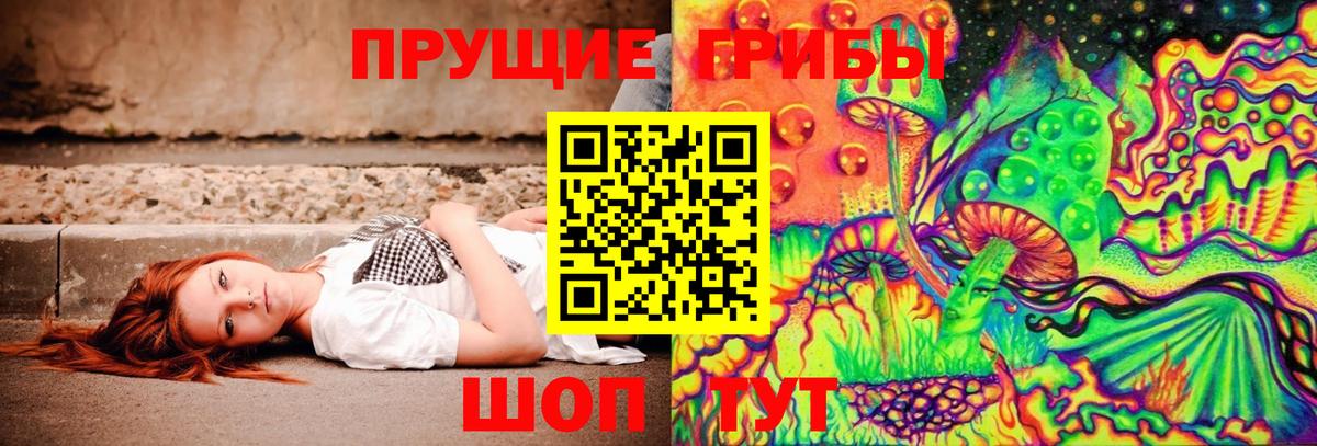 Галлюциногенные грибы мухоморы Белгород
