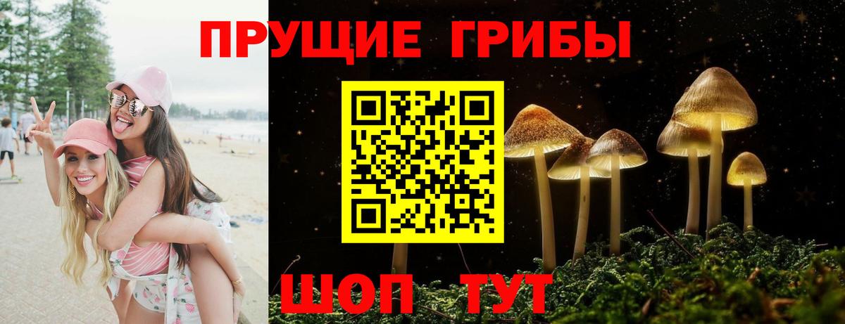 что такое   Галлюциногенные грибы мухоморы  Вход с VPN  Белгород  Псилоцибиновые грибы GOLDEN TEACHER 